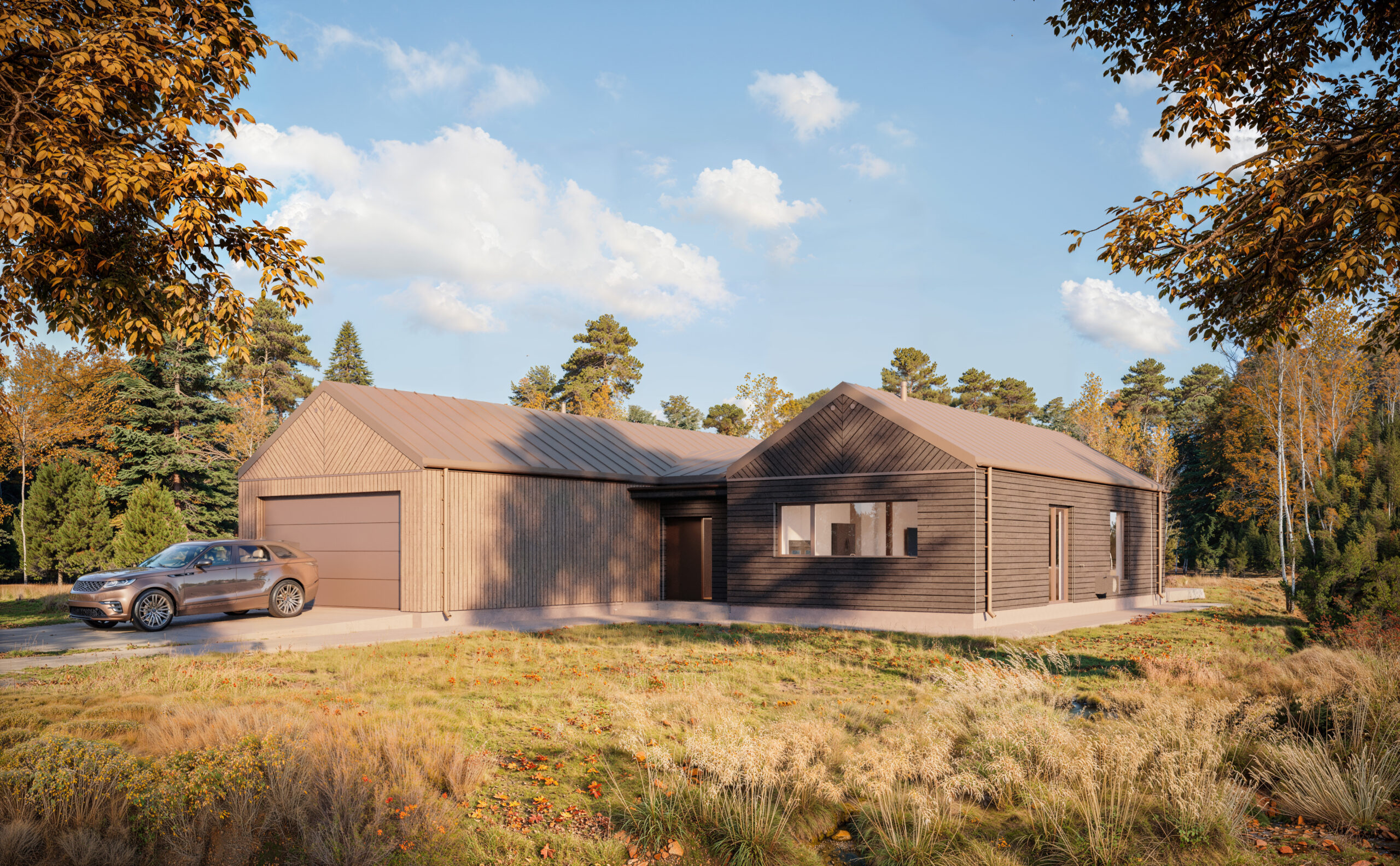 Dom Skandynawski 221