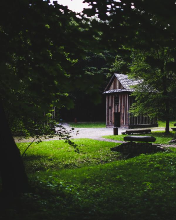 Dlaczego w domu drewnianym żyje się zdrowiej i panuje inny mikroklimat?