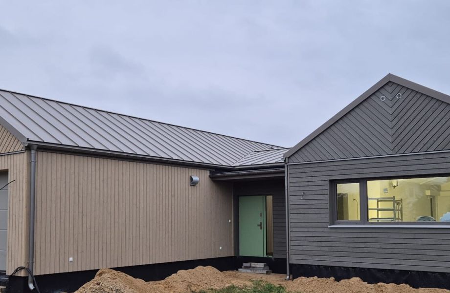 Dom Skandynawski 221